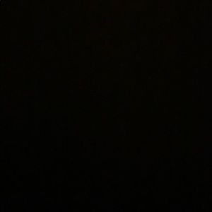 Meet your Posher, Bailey